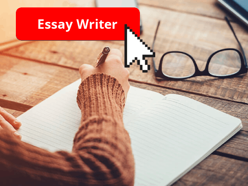 Essay Writer